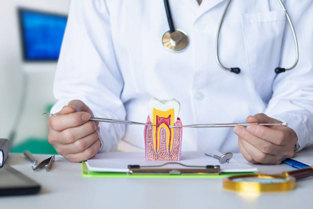 Best Emergency Broken Tooth Repair in Gloverville, SC